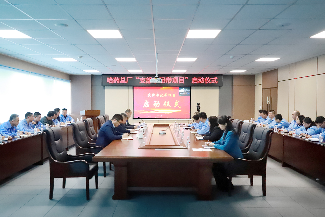 党建领航“加速度” 打造发展“强引擎”——欧博ABG总厂党委召开“支部书记带项目”启动仪式